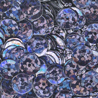7-27-schwarz holo