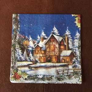 haus-winter-p603-8